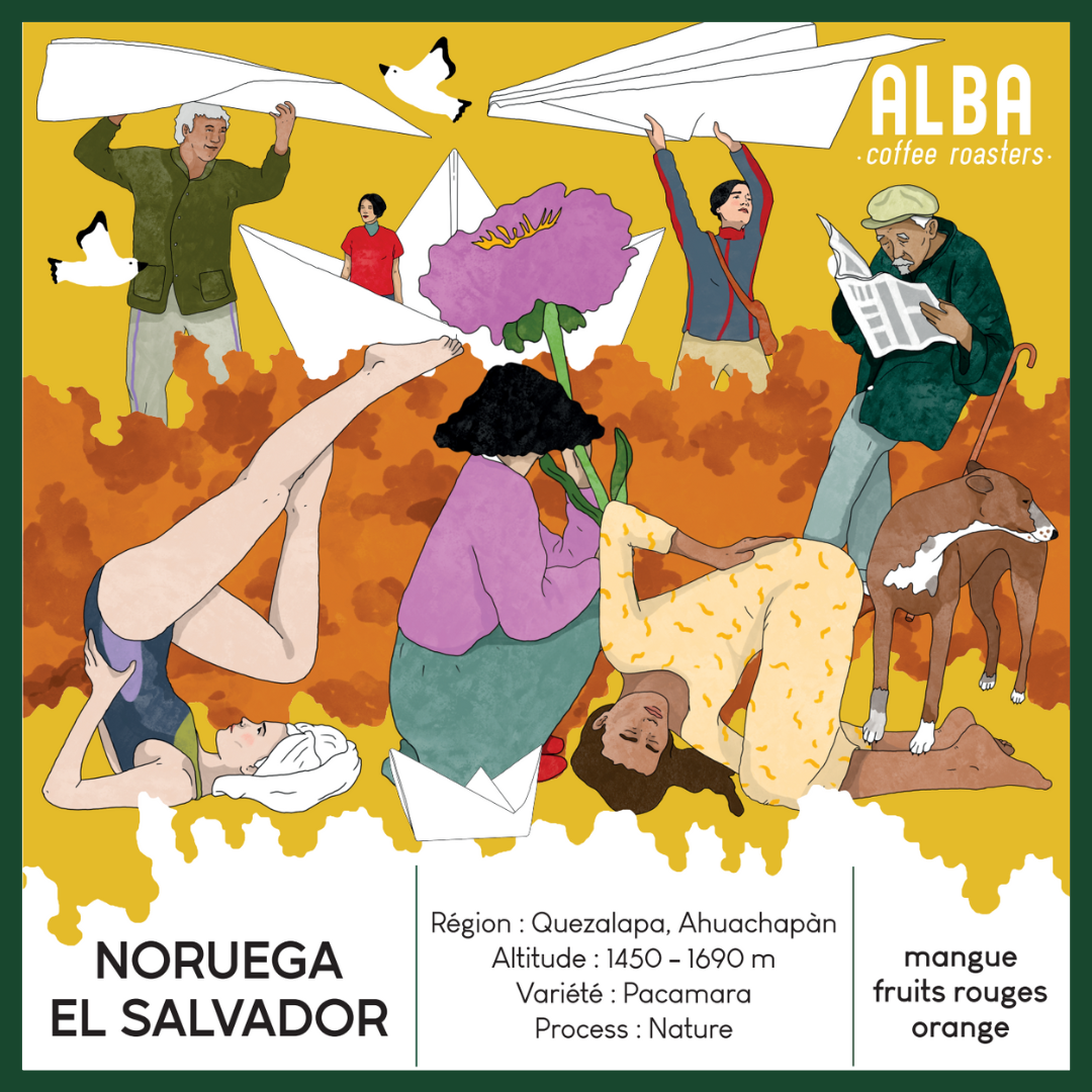 Alba El Salvador Noruega